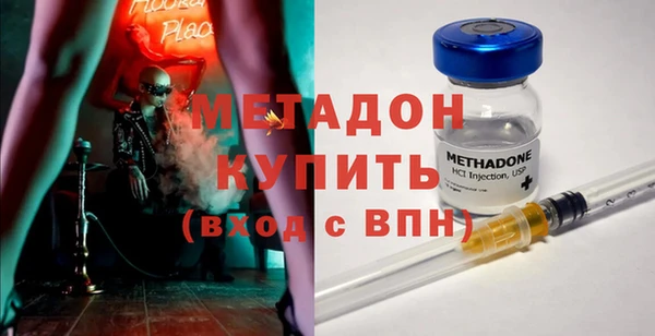 прущие грибы Балабаново