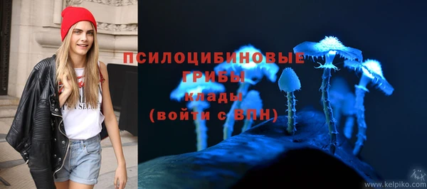прущие грибы Балабаново