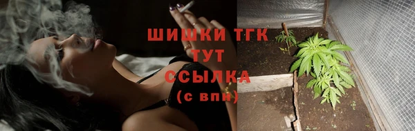прущие грибы Балабаново