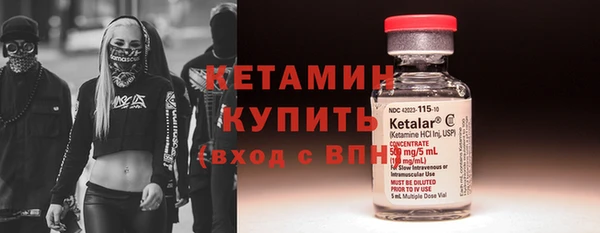 прущие грибы Балабаново