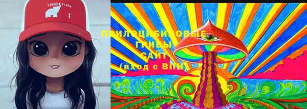 прущие грибы Балабаново