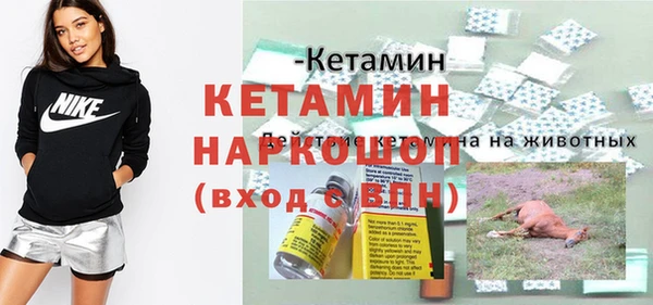 прущие грибы Балабаново