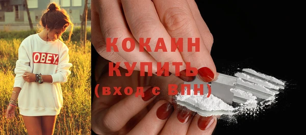 прущие грибы Балабаново